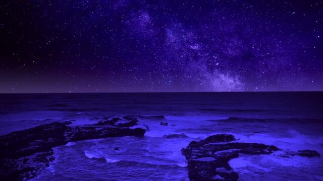 海 夜景 星空 海浪 视频素材 实拍视频