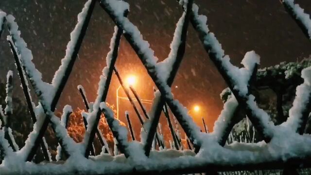 冬天冬季冬日小雪大雪节气下雪风景唯美雪景夜景