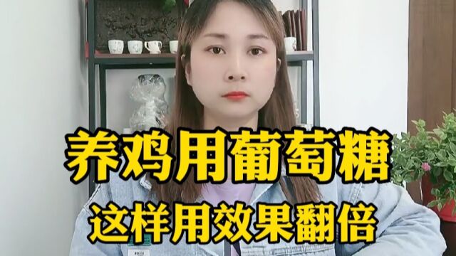 葡萄糖是好东西,鸡什么情况适合用葡萄糖?吴娟养鸡课堂为您揭秘