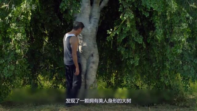 男子发现一颗人形美人树,好奇摸了一下,却闯下大祸!奇幻电影