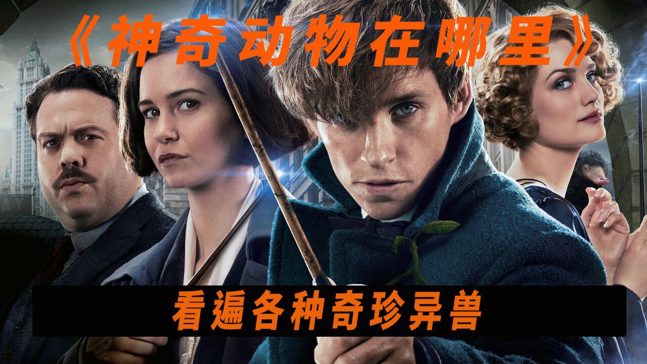 《神奇动物在哪里》号称是哈利波特前传,哈迷必看!