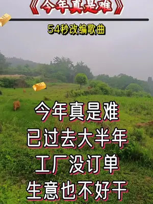 《今年真是难54秒改编歌曲.