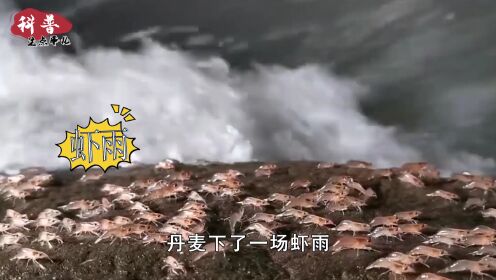 你见过下“鱼雨”吗?数万条鱼从天而降,满大街都是鱼_高清1080P在线观看平台_腾讯视频