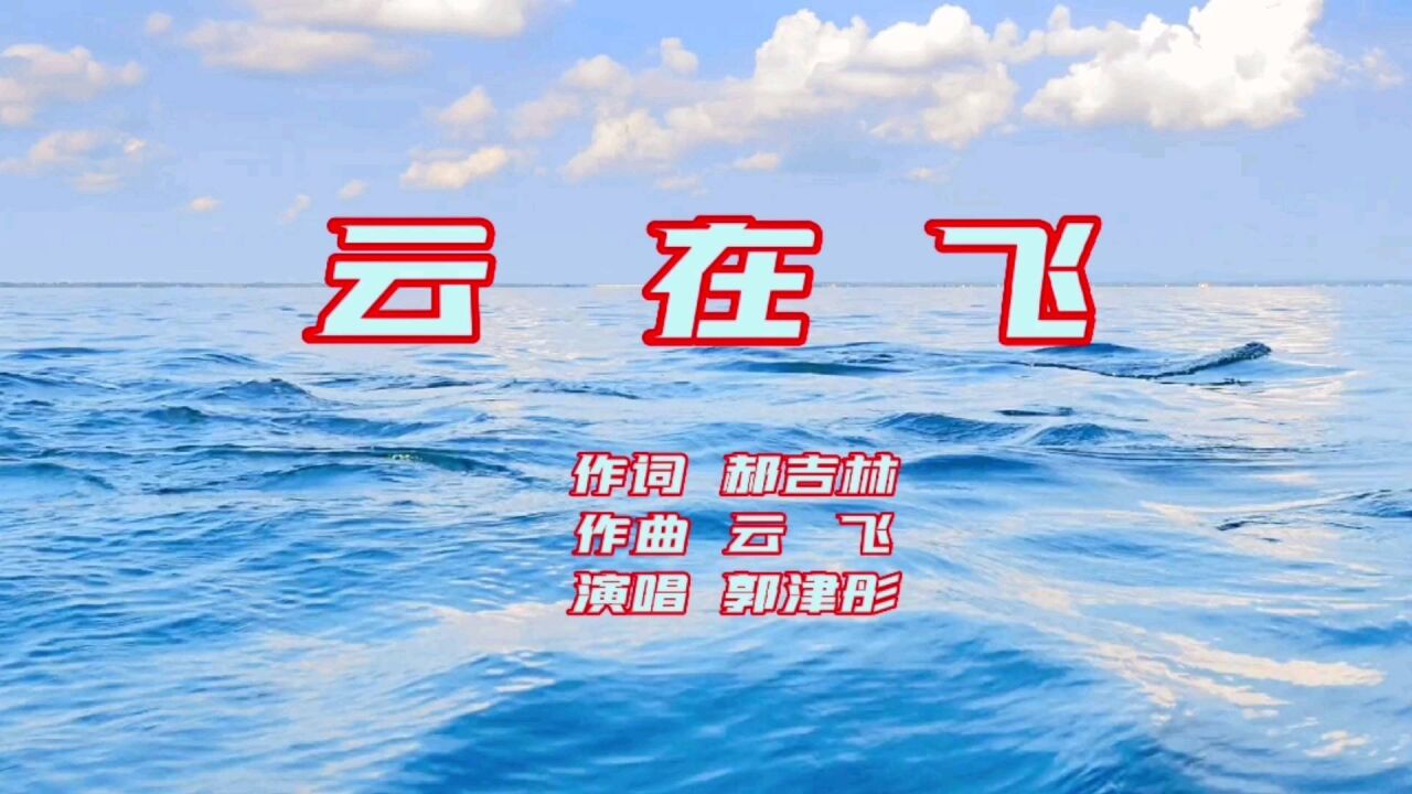 云在飞