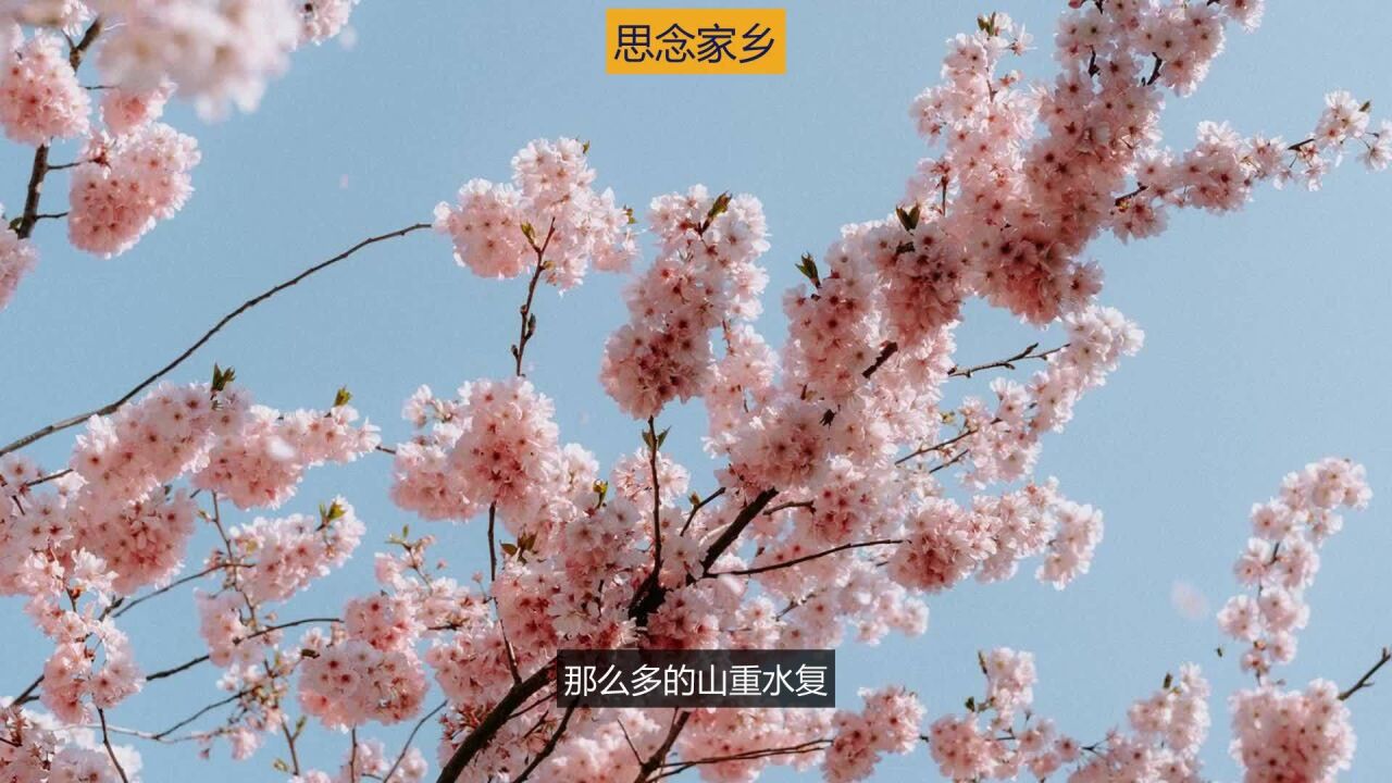 思念远方的家乡