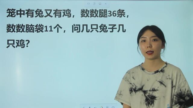 趣味数学:36条腿,11个脑袋,鸡兔问题,几只兔子几只鸡?