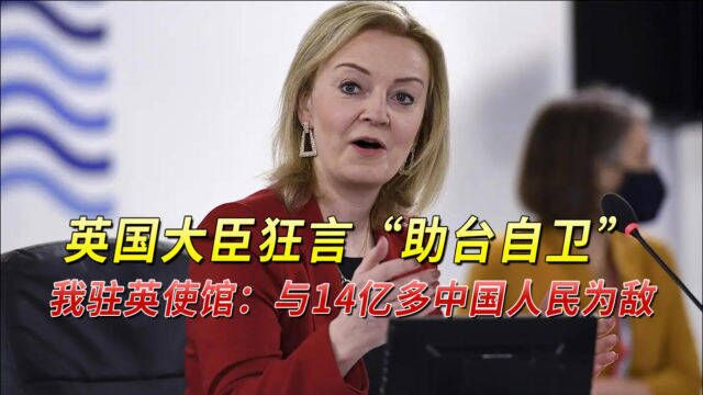 英国大臣狂言“助台自卫”,我驻英使馆:与14亿多中国人民为敌