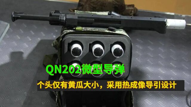 QN202微型导弹:个头仅有黄瓜大小,采用热成像导引设计