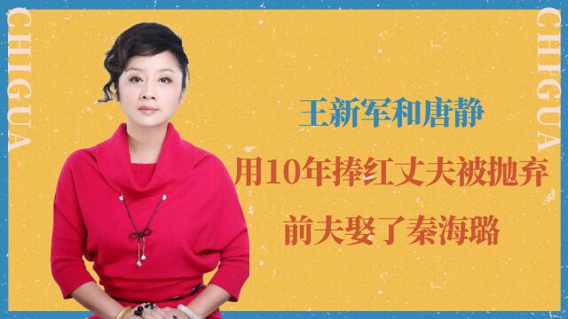 王新军和唐静:用10年捧红丈夫被抛弃,前夫娶了秦海璐,自己却单身