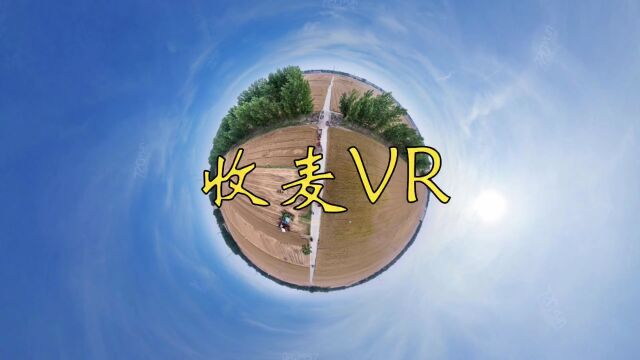 收麦,粜粮,家乡麦收VR全景记录发布!