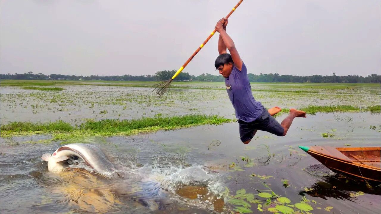 这里鱼多不好抓,大哥仅仅一根鱼叉,大鱼一叉就是一条,太牛了