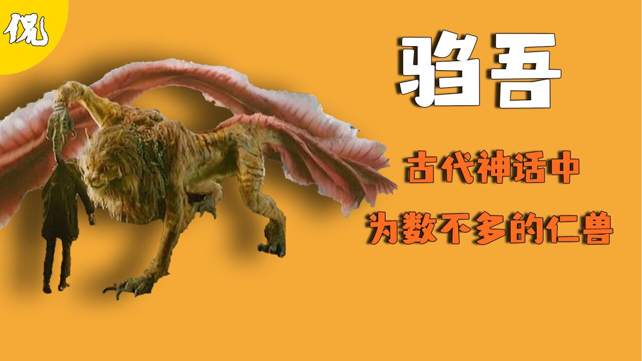 异兽_驺吾,古代神话中的神兽之一,到哪都是无敌的存在_高清1080P在线观看平台_腾讯视频