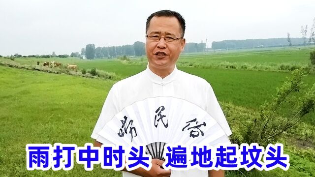 老话“雨淋中时头,遍地起坟头”,啥意思?2022年有啥预兆?