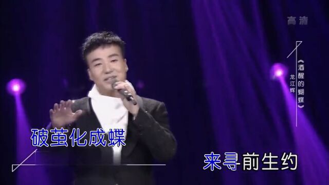 龙江辉酒醒的蝴蝶(live)红日蓝月KTV推介