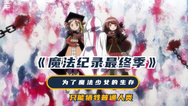 《魔法纪录最终季》:为了拯救魔法少女的生存,只能牺牲普通人类