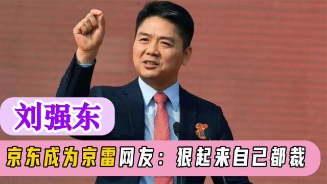 刘强东卸任京东CEO,京东成为”京雷“,这位徐雷到底有什么来头