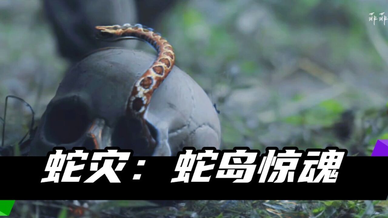 蛇灾:蛇岛惊魂—冒险者都好牛逼!