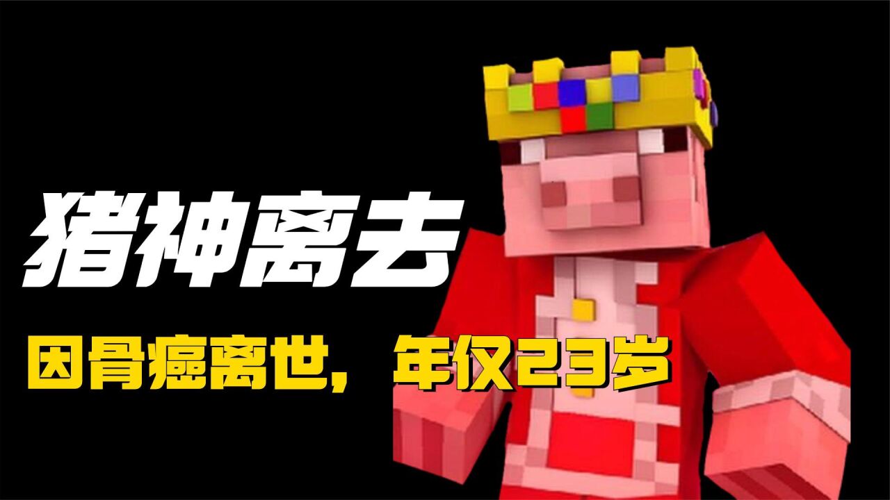 猪神Technoblade因骨癌离去,年仅23岁,谢谢你曾带来的欢乐!_高清1080P在线观看平台_腾讯视频