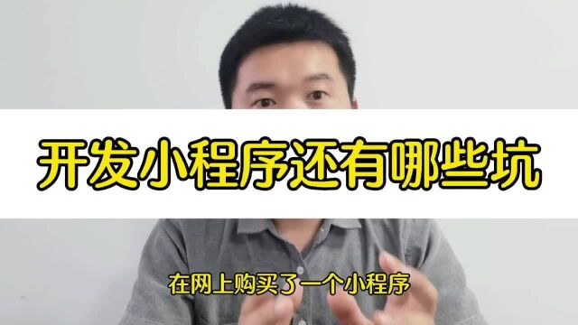 开发小程序的公司