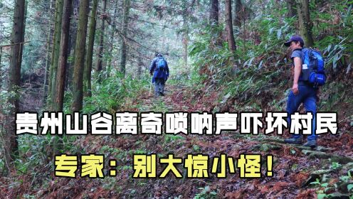 2002年，贵州山谷离奇唢呐声吓坏当地村民，专家：别大惊小怪！