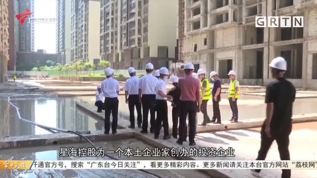 湛江廉江:共益债化解二力城“烂尾楼”复建