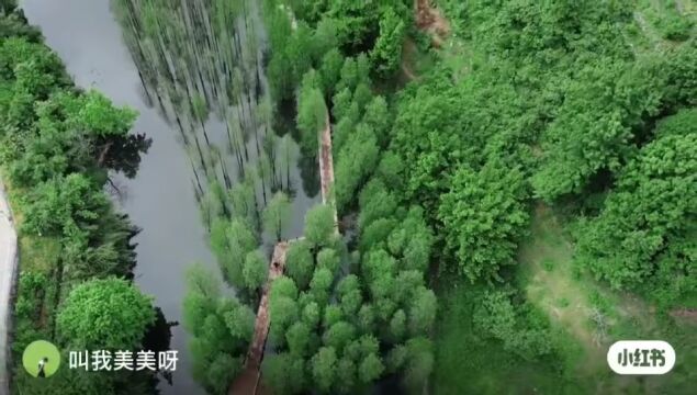 绍兴“小九寨”雪窦岭,属于夏日的森系秘密基地~