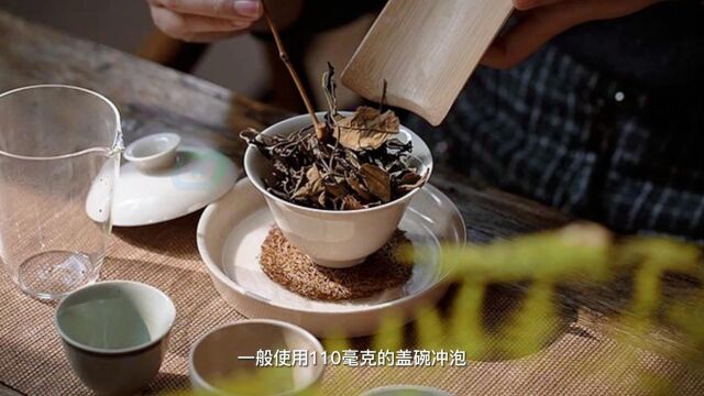 白茶怎么喝才更养生?当然是要避开错误的喝法,才能越喝越健康 