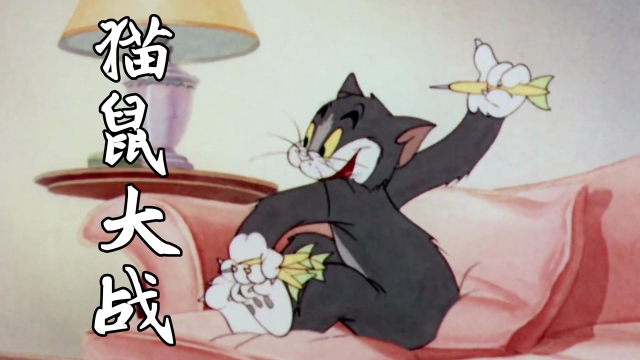一起回顾猫和老鼠的斗智斗勇,鬼畜欢乐斗地主爆笑场面