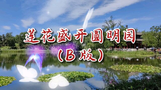 莲花盛开圆明园(B版)