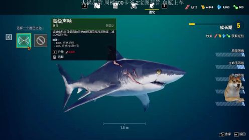 3D食人鲨游戏系列：狗哥3D食人鲨流程2