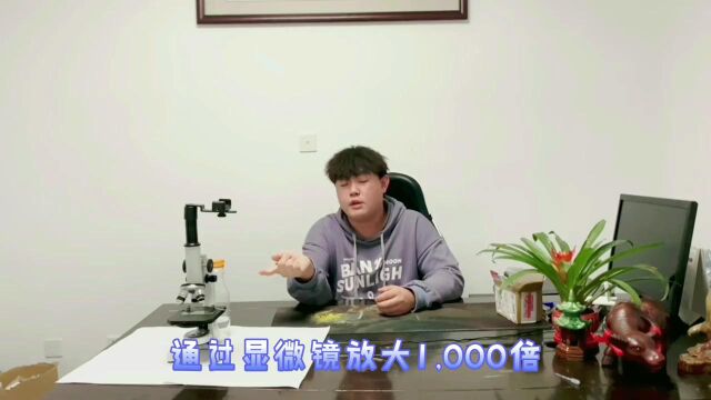 把屁收集起来,放大1000倍,到底能看到些什么?