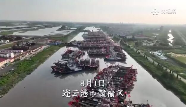 赣榆这一壮观场景,引央媒、省媒聚焦!