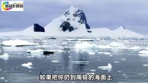 船长把游轮当破冰船开，导致154人被困南极海上
真实海难 纪录片