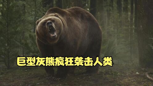 嗜血灰熊称霸丛林，疯狂袭击人类《嗜血灰熊》