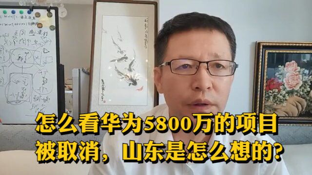 怎么看华为5800万的项目被取消,山东是怎么想的