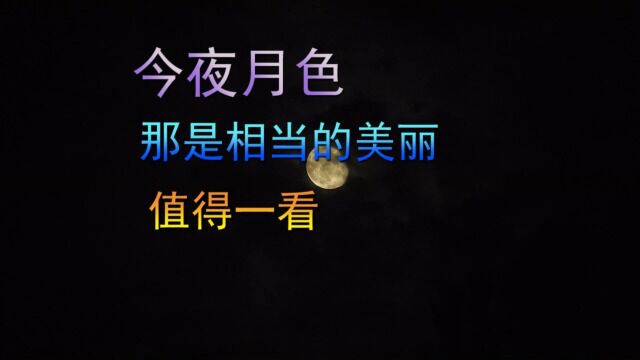 今夜的月色,那是很美丽的,值得一看