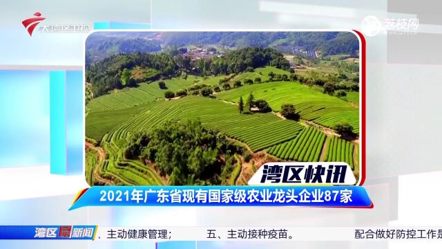 2021年广东省现有国家级农业龙头企业87家