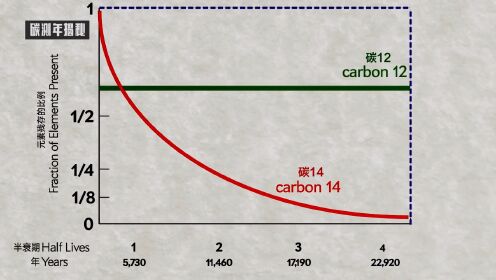 关于碳测年法你了解多少？遥远古生物的年龄究竟怎样确认？