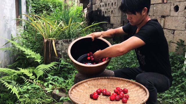 自己做的李子干你们吃过了吗?酸酸甜甜冰糖李子干