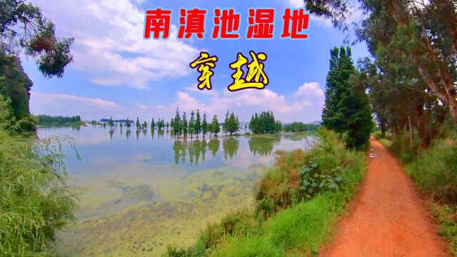 晋宁南滇池湿地穿越(二),穿陌路美景乍现,背影大叔的昆明游记