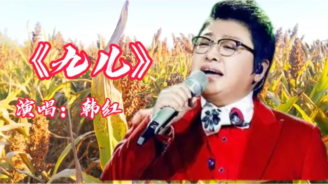 红高粱主题曲《九儿》原唱:韩红