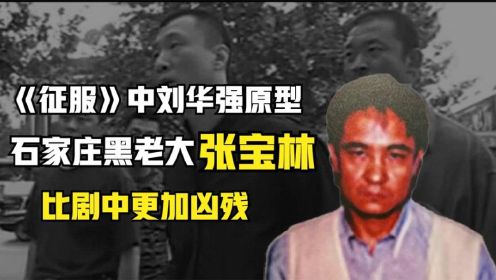 《征服》刘华强原型，为弟报仇血洗仇家，黑老大张宝林如何覆灭