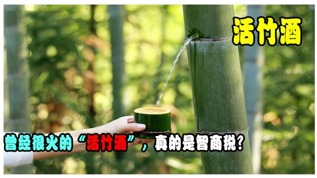 曾经很火的“活竹酒”,真的是智商税?为何现在销声匿迹了?