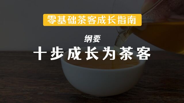 【纲要】只需十步,教你从零基础成长为一名茶客