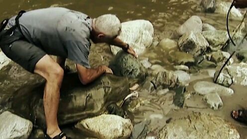 河中巨怪：渔民不敢吃的剧毒小鱼，结果在湄公河中成可怕的杀手