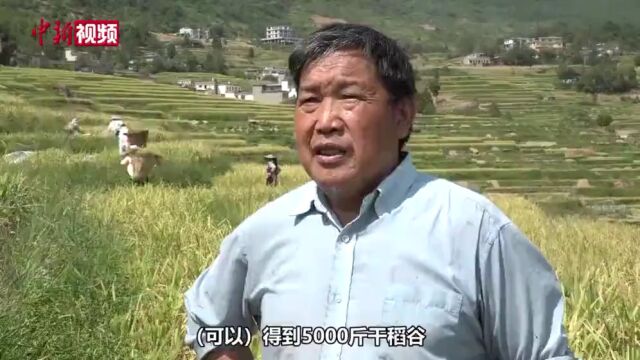 【央媒看遵义】这些受关注