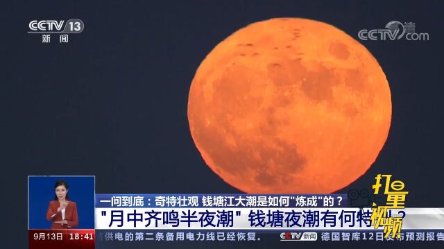 “月中齐鸣半夜潮”!钱塘夜潮有何特别?专家解读