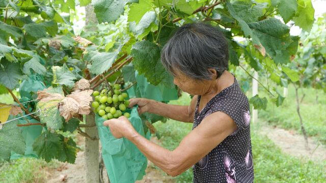 《今日赣鄱》栏目组走进广信区郑坊镇人民政府