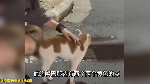 今天我们盘点网络上的搞笑配音