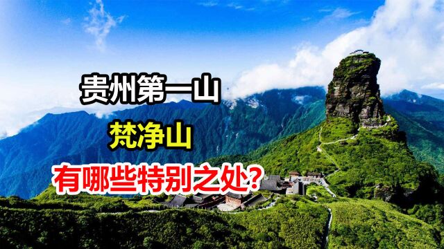 异景奇观名扬全球,贵州第一山梵净山,有哪些特别之处?